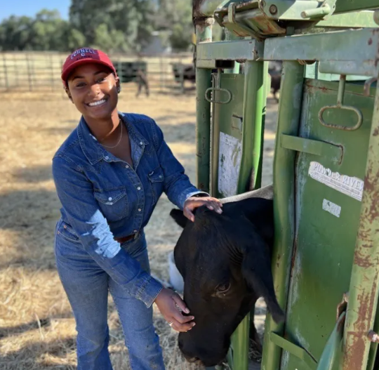 Black cowboy on the American ranch