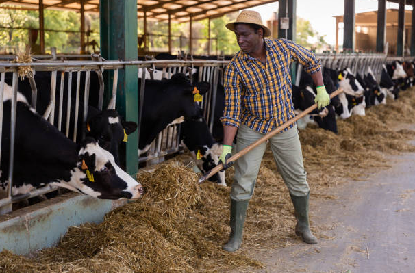 African American farming family and heritage